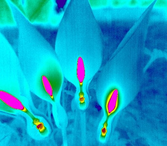 PYROVIEW����xʹ�a(ch��n)���^��׃�ÿ�Ҋ